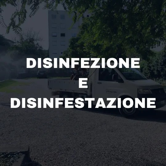 Disinfestazione insetti e disinfezione zanzare e blatte a Verona e Mantova